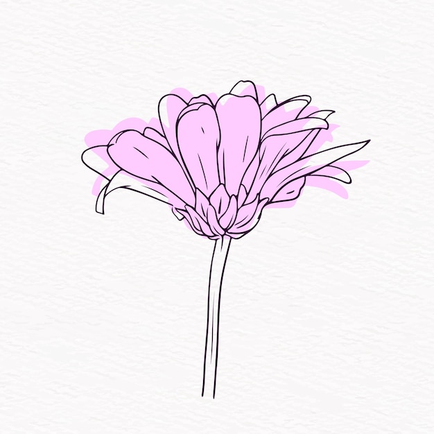 Vector flor, dibujo lineal, con, extracto, plano de fondo clip art
