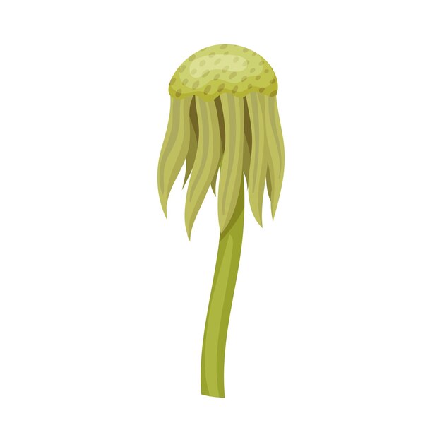 La flor de diente de león en el tallo termina de florecer aislada en la ilustración vectorial de fondo blanco