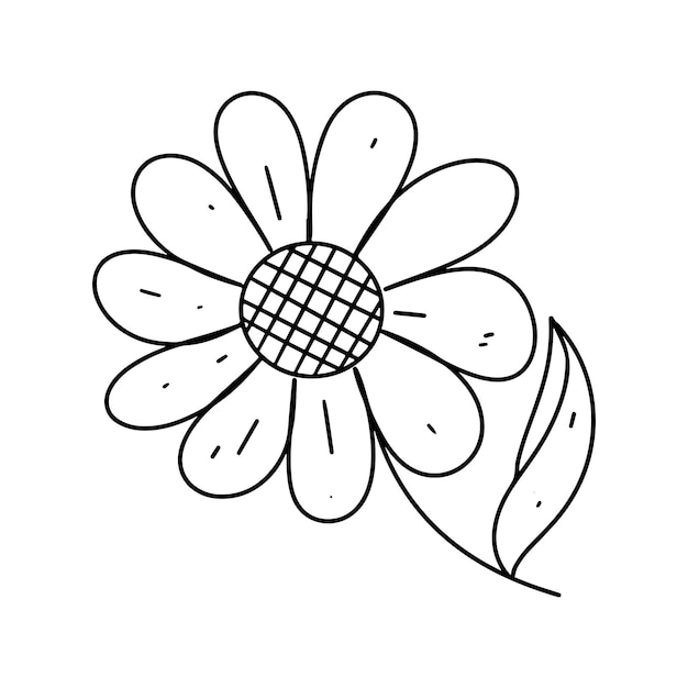 Flor en estilo de garabato dibujado a mano Ilustración vectorial simple aislada en blanco Página para colorear