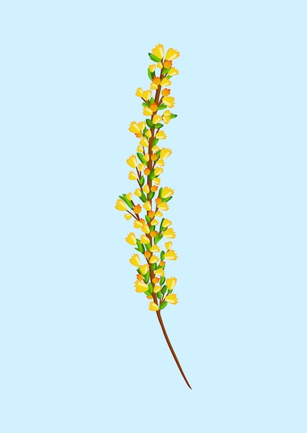 Vector flor de forsythia diseño floral para carteles postales, telas de decoración publicitaria y otros usos vector