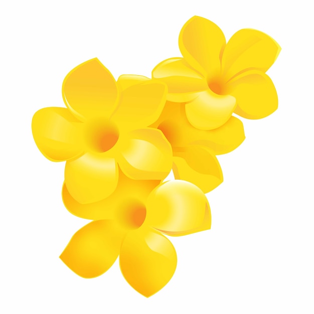 Flor de frangipani amarillo