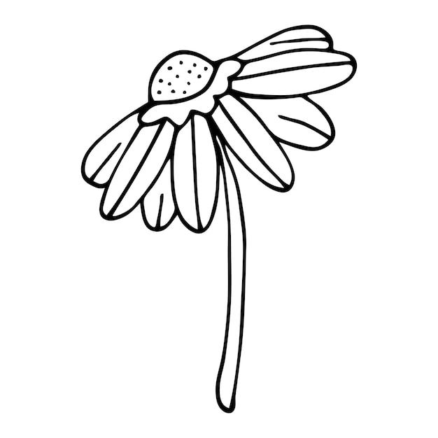 Flor de garabato abstracto esquema dibujado a mano de una flor de fantasía
