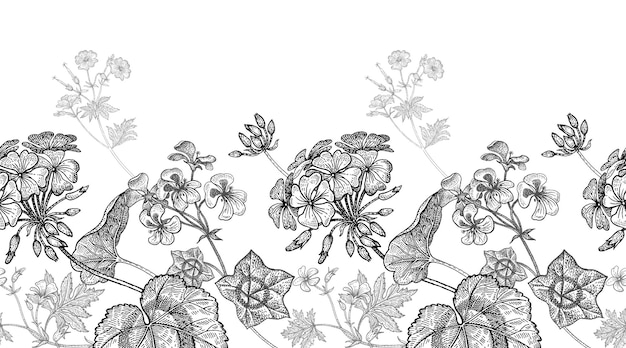 Vector flor de geranio o pelargonio patrón floral transparente vector blanco y negro