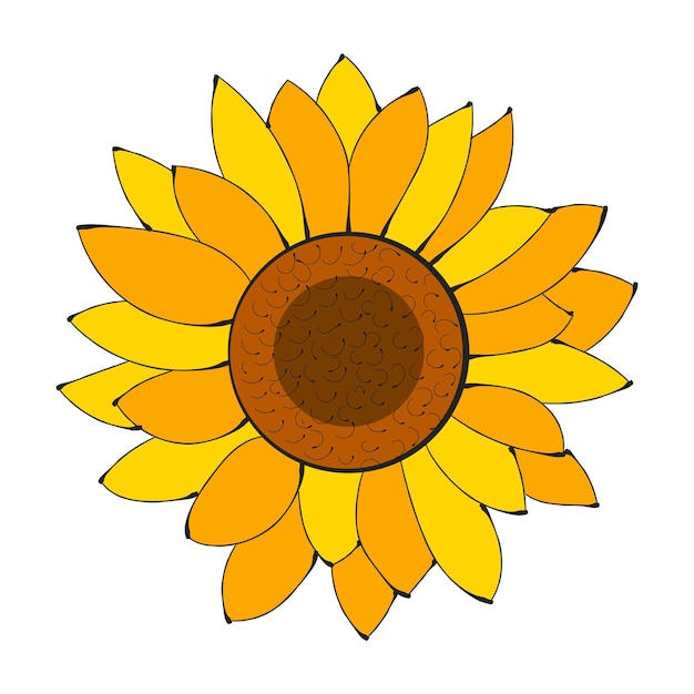 Vector flor de girasol aislado, ilustración vectorial. fondo de naturaleza para su diseño