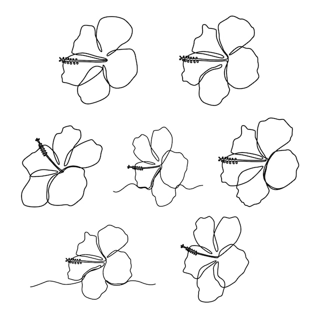 Flor de hibisco exótica en un dibujo lineal