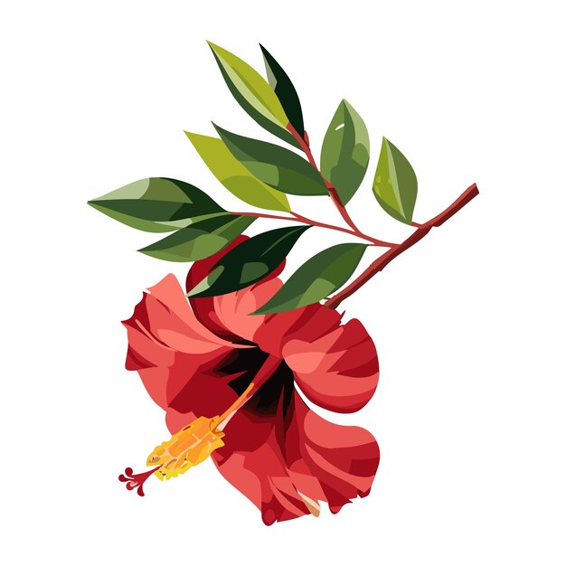 Vector flor de hibisco roja planta tropical ilustración vectorial sobre un fondo blanco