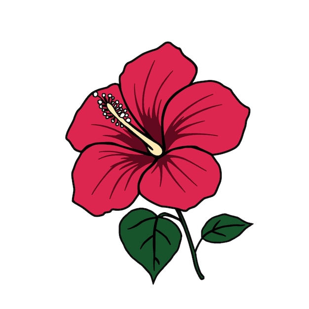 Una flor de hibisco roja vibrante con hojas verdes perfecta para tarjetas y pegatinas