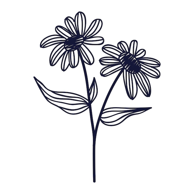 Flor y hoja dibujadas a mano aisladas en un blanco