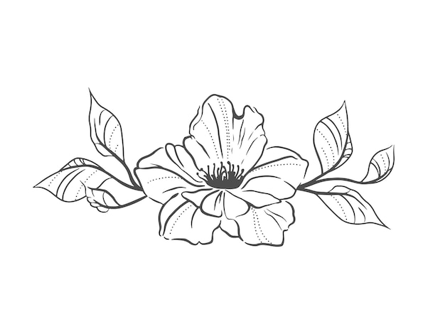 flor con hojas Contorno libro de colorear Ilustración vectorial en blanco y negro.