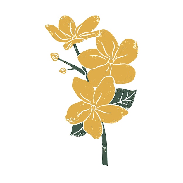 flor, imágenes prediseñadas, ilustración, gráfico
