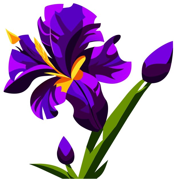 Vector flor de iris púrpura con elementos amarillos brillantes en el resorte de los pétalos
