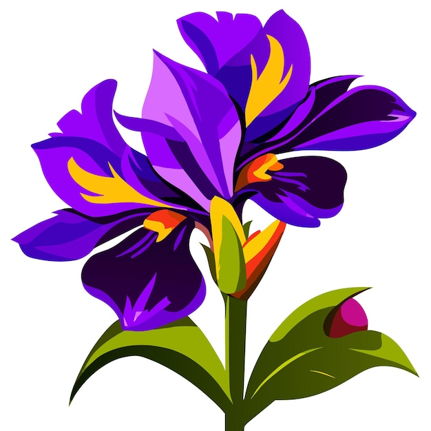 Flor de iris púrpura con elementos amarillos brillantes en el resorte de los pétalos