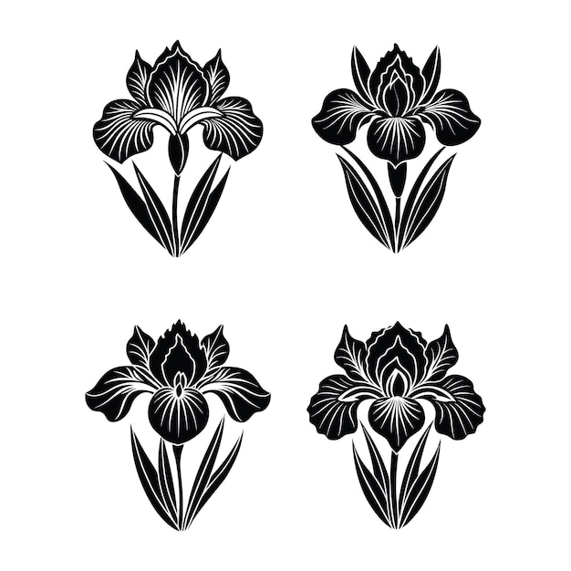 Flor de iris (svg)
