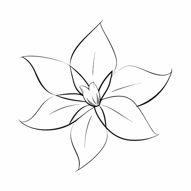 Flor de línea negra sobre fondo blanco