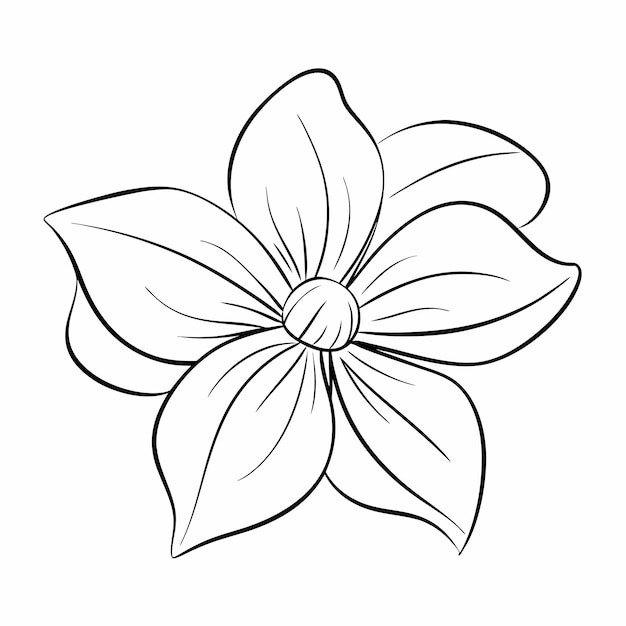 Flor de línea negra sobre fondo blanco