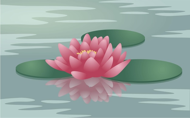 Flor del lirio de agua