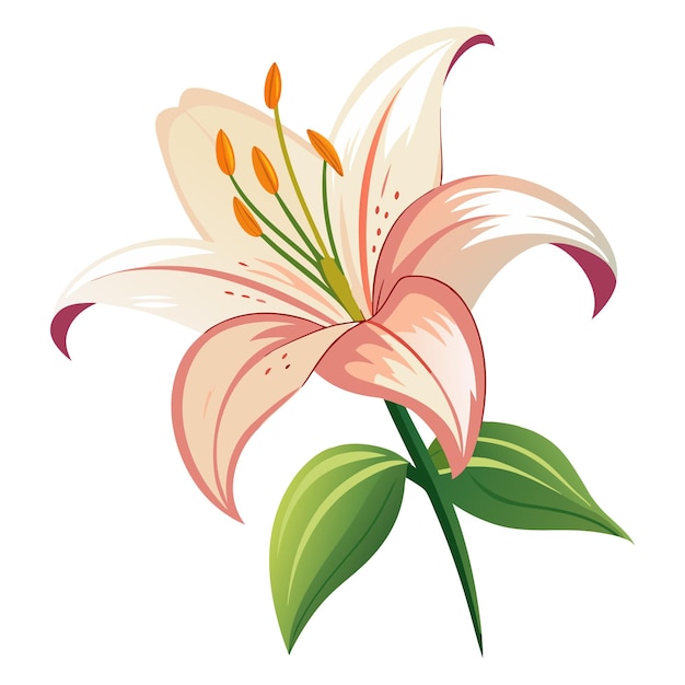 La flor de los lirios
