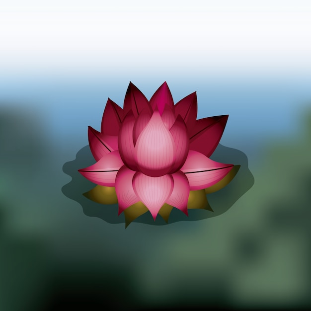 flor de loto sobre diseño de icono aislado fondo de desenfoque