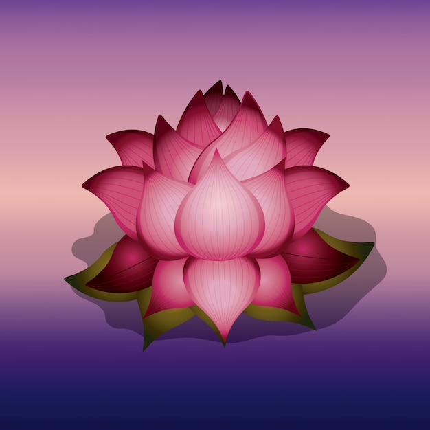 flor de loto sobre diseño de icono aislado fondo de desenfoque