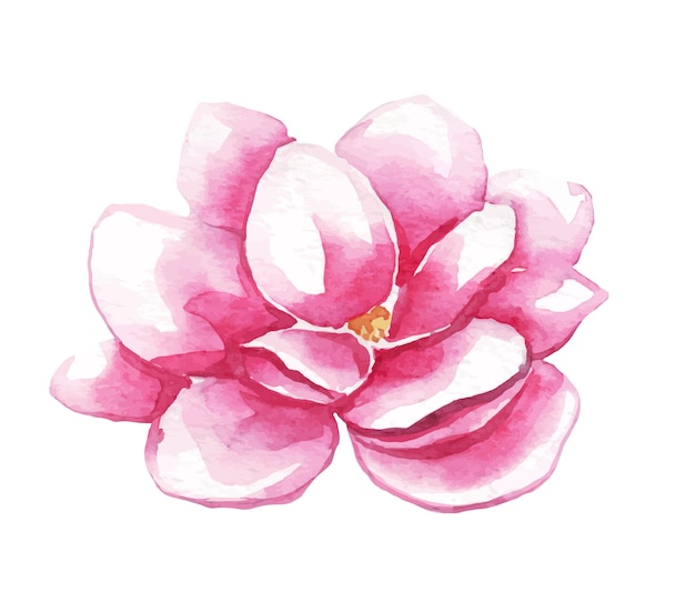 flor de magnolia