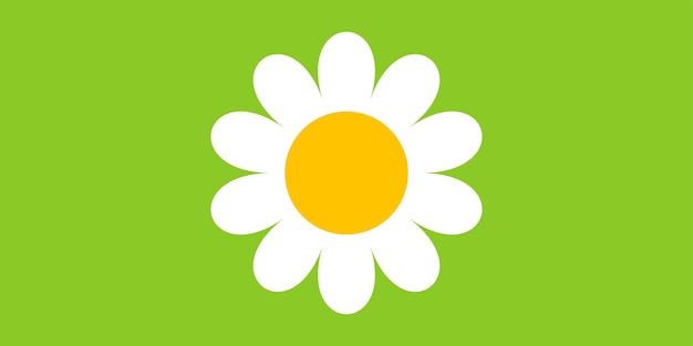Flor de manzanilla gran diseño para cualquier propósito Ilustración de dibujos animados con manzanilla blanca sobre fondo verde