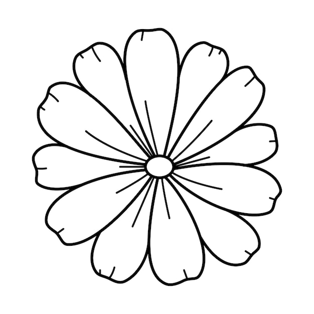 Flor de margarita dibujada a mano de garabato aislada sobre fondo blanco Vista superior de manzanilla de boceto Ilustración de vector de arte lineal