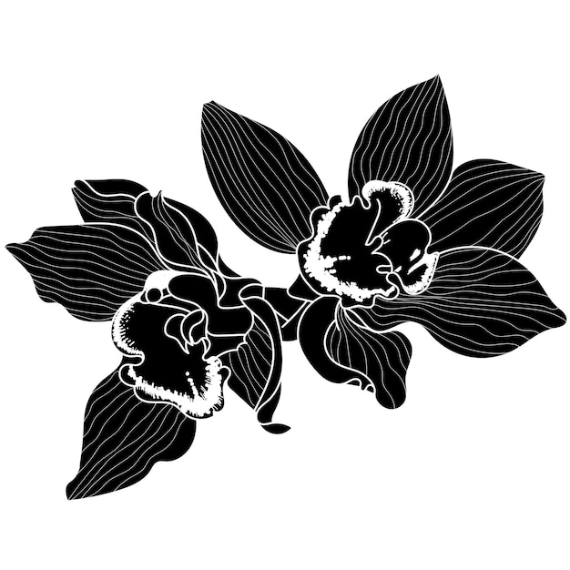 Flor monocromática vectorial aislada sobre fondo blanco