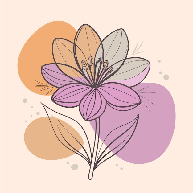 una flor se muestra con los colores rosa y naranja