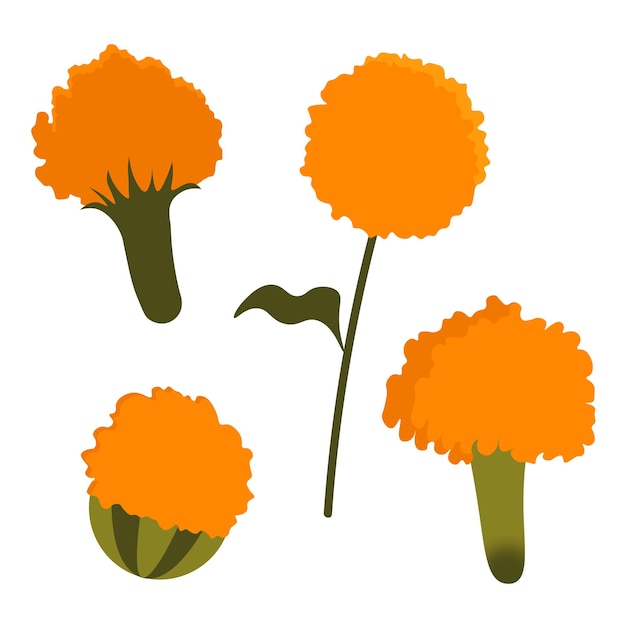 flor de naranja