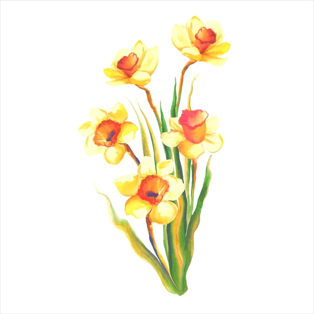 Flor de narciso amarillo floreciente con hojas ilustración acuarela botánica