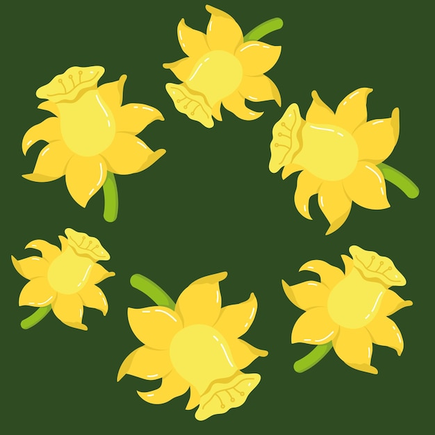 Flor de narciso. Narcisos amarillos flores planas