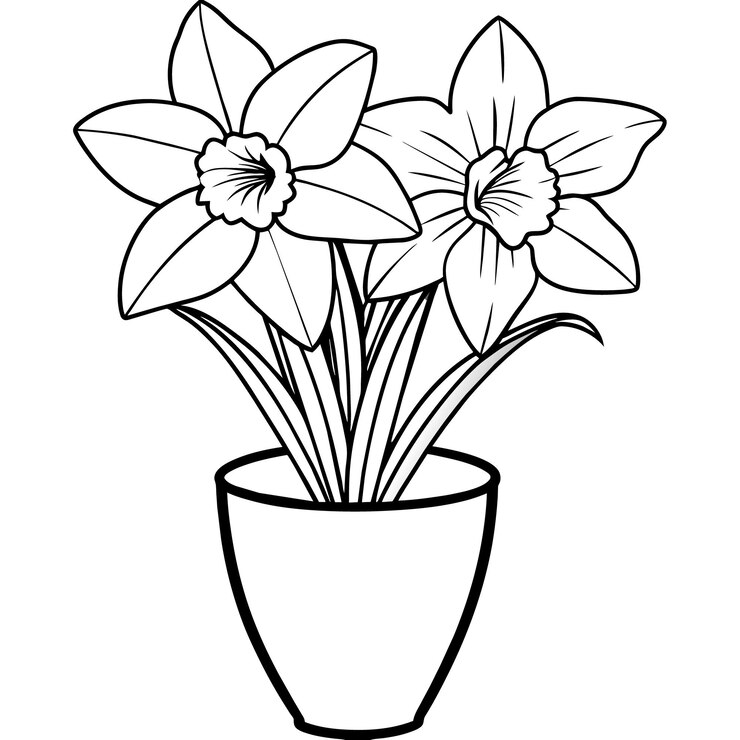 Vector flor de narcisos en el contorno del jarrón ilustración diseño de página de libro de colorear