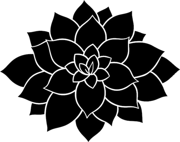 una flor negra y blanca con un centro negro que dice calla en él