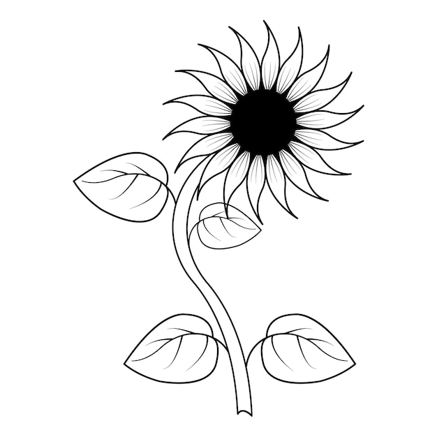 una flor negra y blanca con un diseño de flor en ella