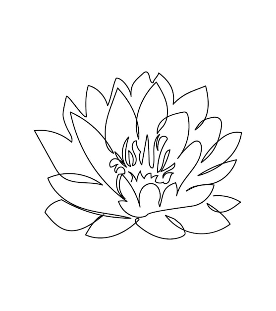 Flor de nenúfar arte de una línea Dibujo de línea continua de plantas hierba flor flor de loto