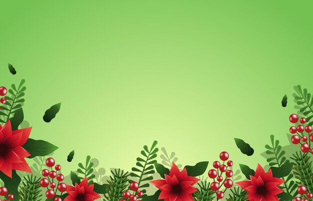 Flor Nochebuena Verde Hermosa Con Espacio Blanco Fondo Floral
