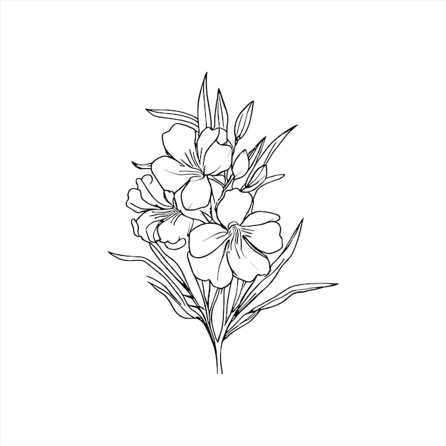 Flor de oleandra dibujada a mano con hojas Arte de la línea de flores del jardín Ilustración vintage