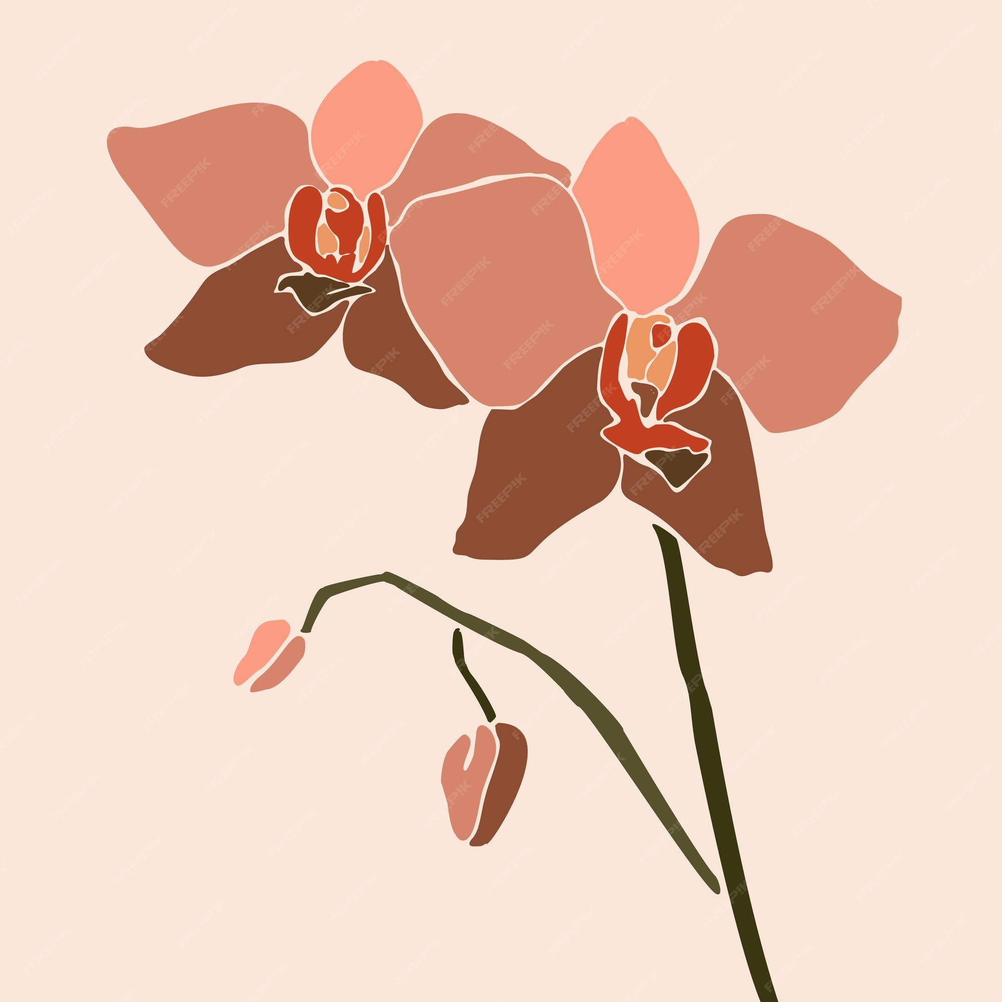 Flor de orquídea en un estilo minimalista de moda. silueta de plantas de  orquídeas en un estilo abstracto simple contemporáneo sobre un fondo rosa.  ilustración de vector para impresión de camiseta, tarjeta,