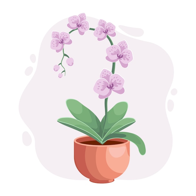 Vector flor de orquídea floreciente en una olla. concepto de cuidado de plantas. ilustración botánica, elemento de decoración, vector