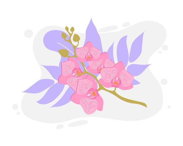 flor, orquídea, vector, flor, exótico, orquídea, rama