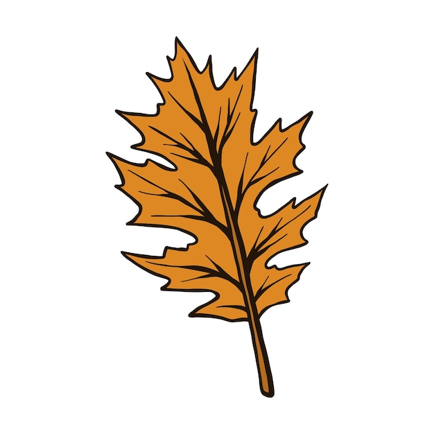 flor de otoño hojas ilustración vectorial arce