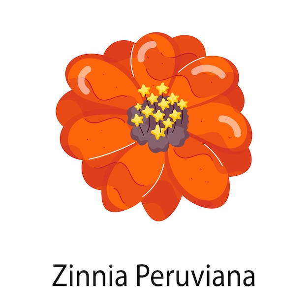 Vector una flor con la palabra zamboa en ella