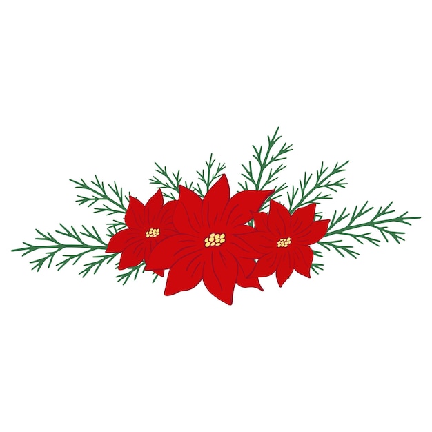 Flor de pascua de Navidad dibujada a mano con ramitas de árbol. Flor roja de Navidad. Ilustración de dibujo de doodle de vector aislado sobre fondo blanco.