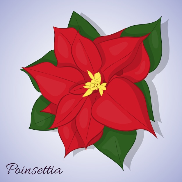 Vector flor de pascua roja