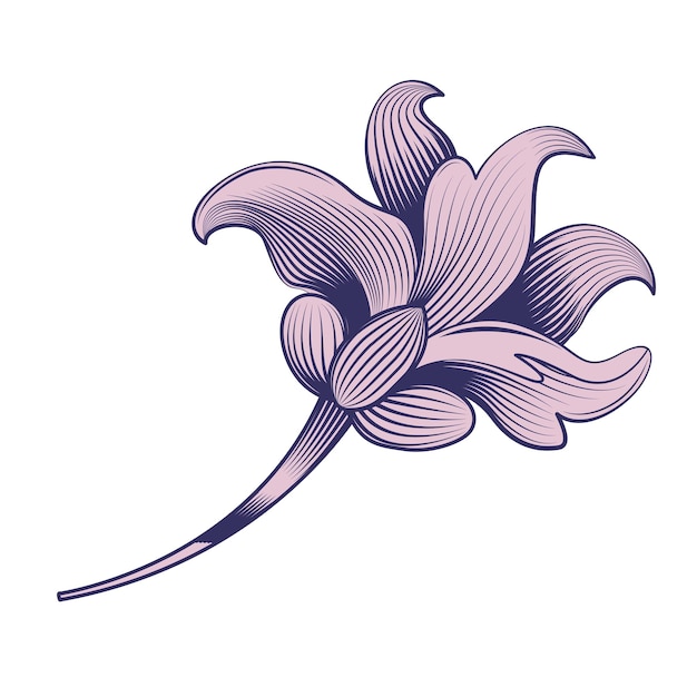 Una flor con pétalos de color púrpura y una flor grande en el vector central