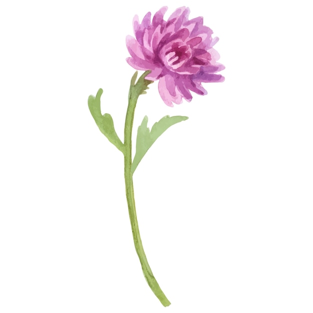 Flor pintada con acuarela vectorial Elemento de diseño de flor dibujado a mano aislado sobre fondo blanco