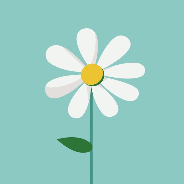 Flor plana de la primavera