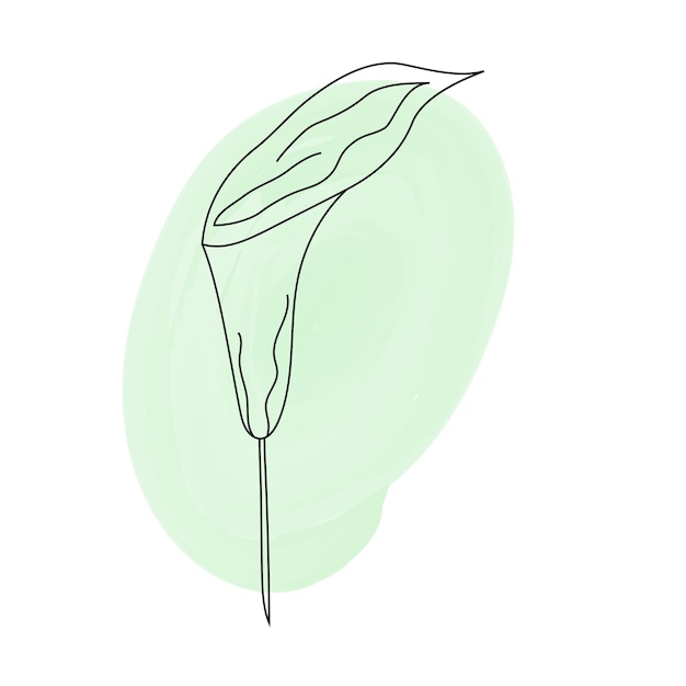 Flor de primavera calla única arte de línea botánica elemento de diseño minimalista Ilustración vectorial plana