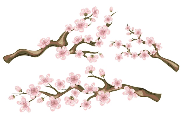 Flor primavera rosa sakura flor de cerezo conjunto aislado elemento de diseño gráfico de dibujos animados