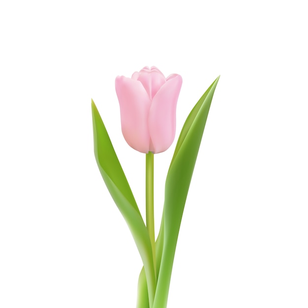 Flor de primavera